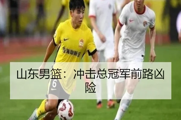 山东男篮：冲击总冠军前路凶险 | haoli777